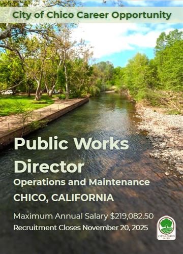 Director of Public Works